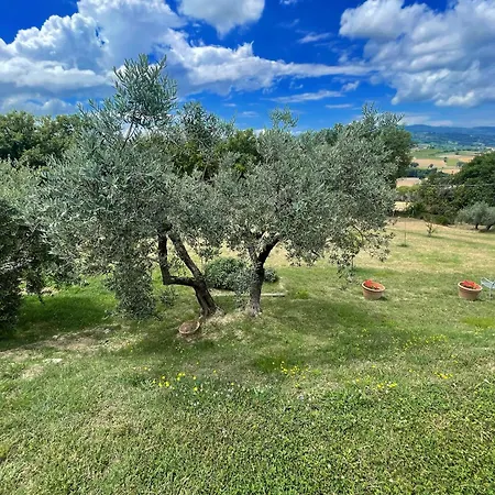 Stylish With Amazing Views And Pool Near Montefalco And Bevagna Sleeps 14